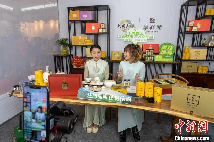 名茶“铁观音”搭上直播带货快车，购买更加便利。　刘伯怡 摄
