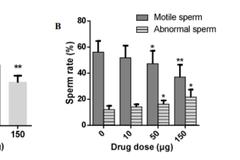 新研究：瑞德西韦小鼠实验中有生殖毒性 严重影响精子质量