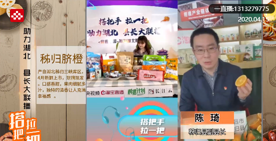 4月15日，陈琦在直播中推荐秭归脐橙。