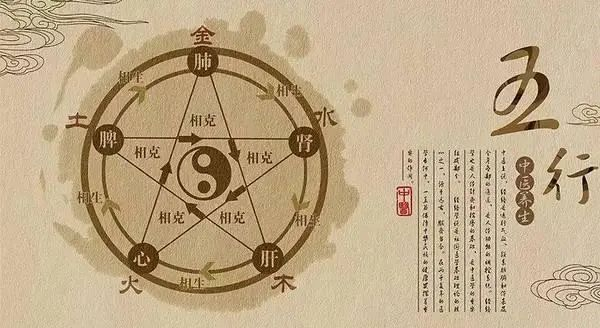 中医入门必须理解的五脏六腑功能特点|五脏六腑|脏腑_新浪新闻