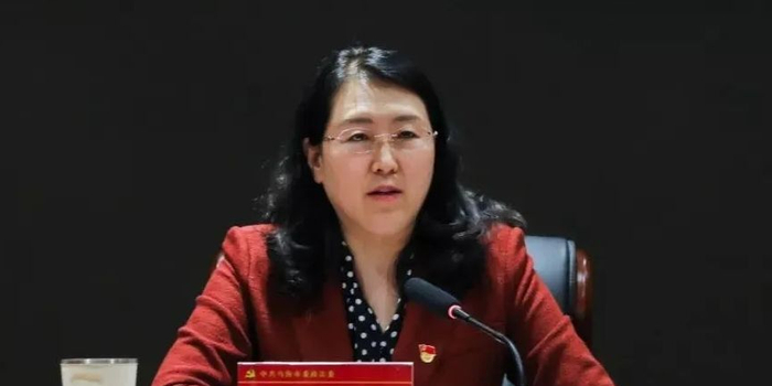 乌海市委副书记,政法委书记武凤梅被捕,此前无落马消息