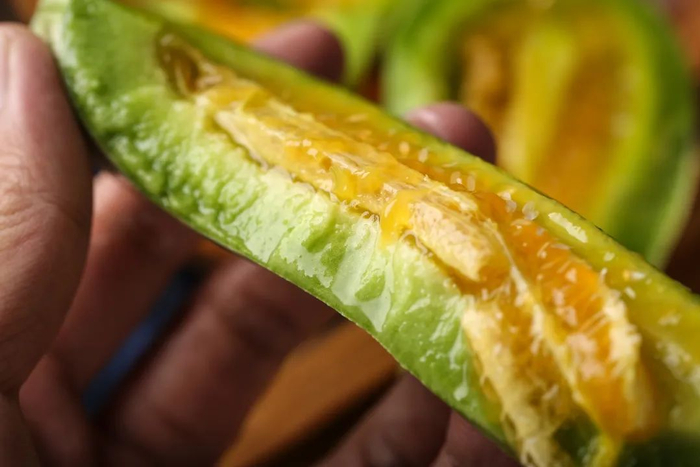 去年吃过的朋友不用再犹豫了，同一个产地，同一片瓜田，品质不变，今天还顺丰包邮，更加新鲜快递到达。