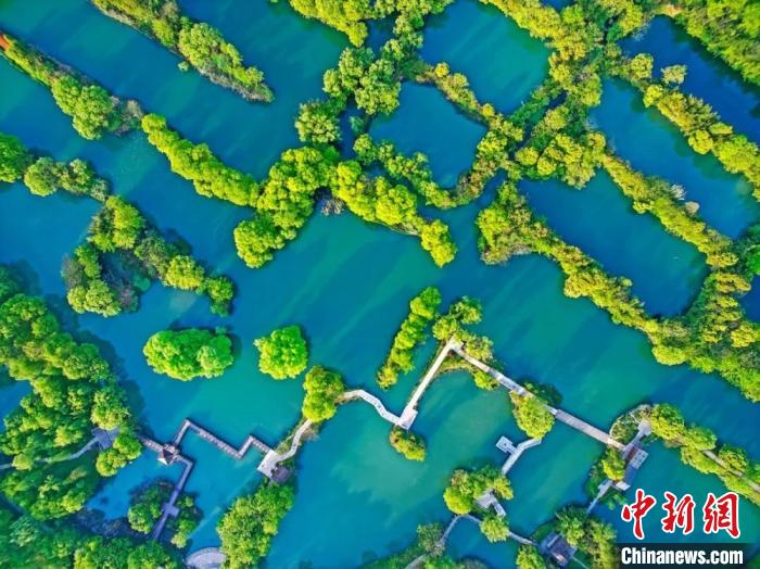 西溪湿地景区 西溪湿地供图