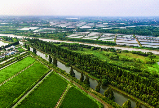 图说：新《条例》施行，将使上海水环境更美好  资料图（下同）