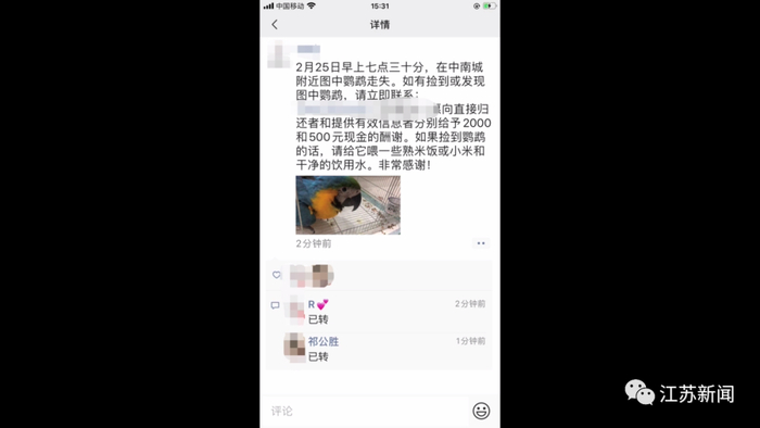  民警发现，这是一只金刚鹦鹉，国家重点保护动物。