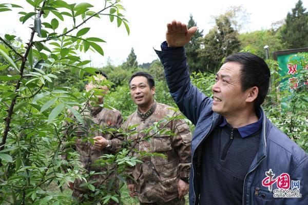 “​麻麻青花椒 浓浓爱民情”打通扶贫“最后一公里”