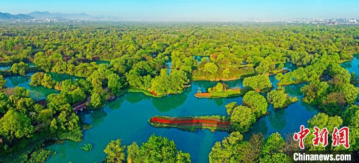 西溪湿地美景。西溪湿地提供
