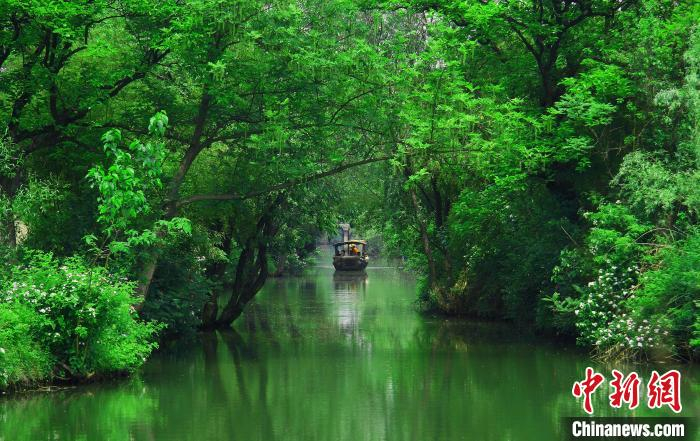 西溪湿地美景。　西溪湿地提供