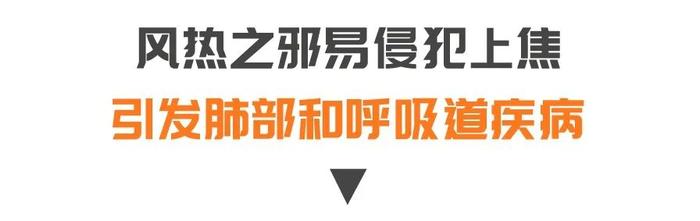 春季风热之邪最伤人，专家带来三个代茶饮，透邪外达畅全身，现在喝正合适~