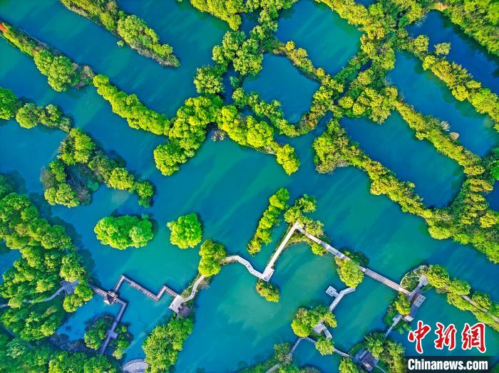 西溪湿地美景。西溪湿地提供