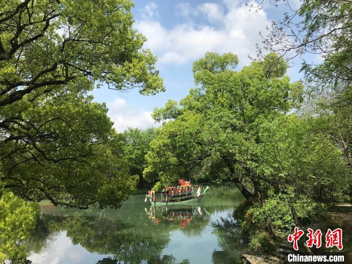 西溪湿地美景。　严格 摄