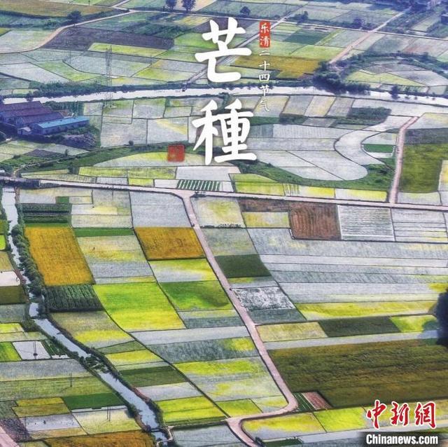 力推传统文化 浙江男子耗时一年独创家乡二十四节气图