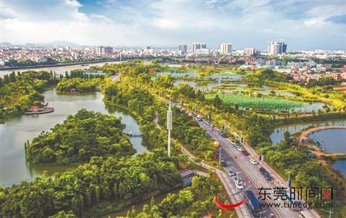 ■蔡白湿地公园 市林业局供图