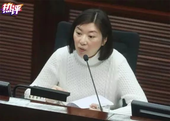 ▲容海恩 香港立法会议员