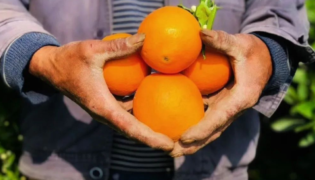 今天武汉也解封了，但受疫情影响比较严重，复工复产非一日之功。