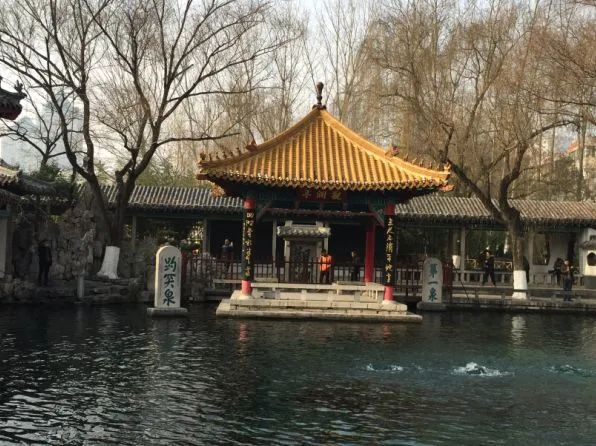 ▲济南趵突泉。林小昭/摄影