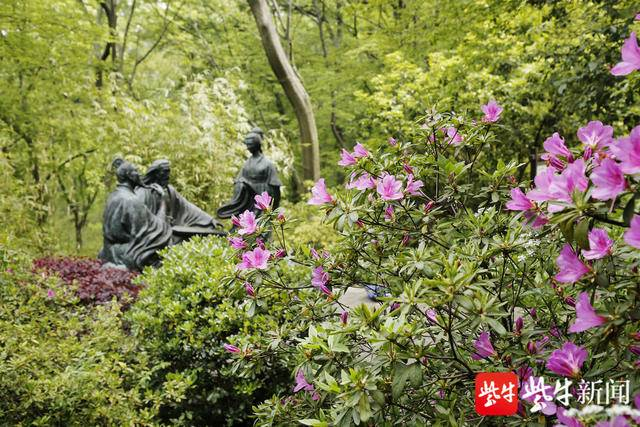 图为镇江南山风景大片。