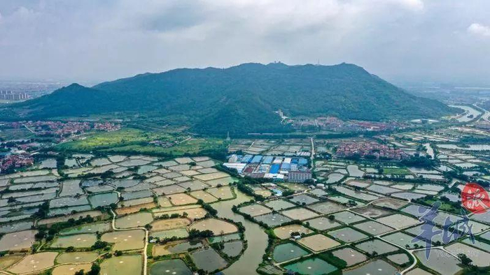 广东14个5A景区恢复开放！随便一个都超好玩~附门票优惠和入园方式！