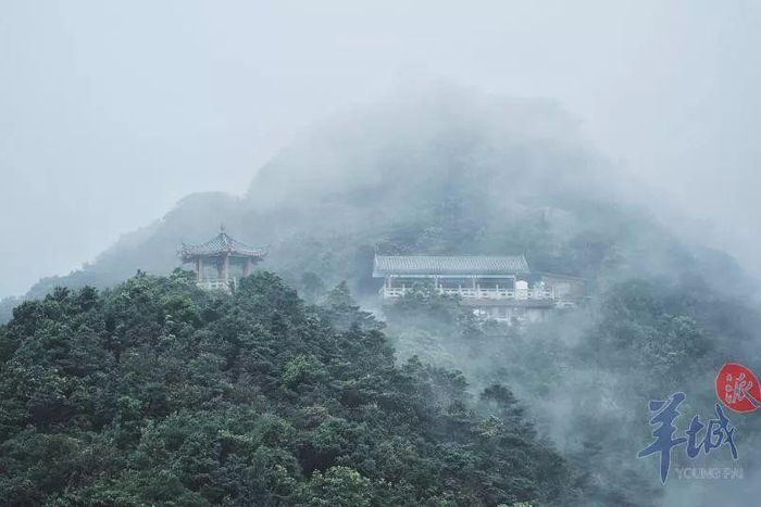 广东14个5A景区恢复开放！随便一个都超好玩~附门票优惠和入园方式！