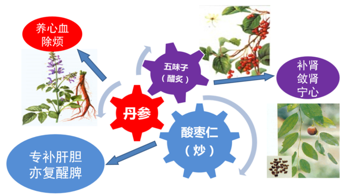 图：枣仁安神的组方与方解图