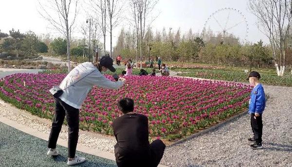 聊城又一拨景区恢复开园，邀你来赴一场春天的约会