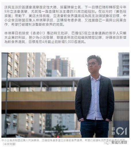 香港反对派觊觎立法会功能界别的野心