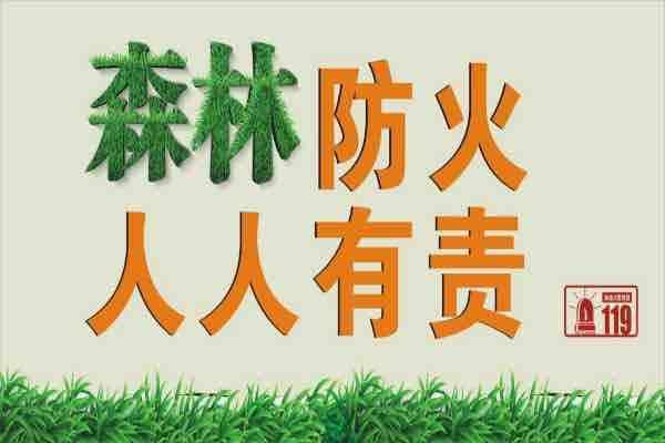 山东严打违规用火 查处森林火灾案件30余起