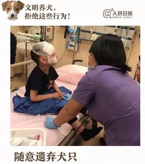 触目惊心！广西5岁男童被恶犬撕咬6分钟，伤口从眉角裂到后脑勺..