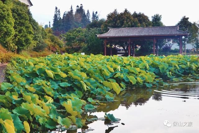 泡温泉做土陶品美味：这条旅游线路挺不错