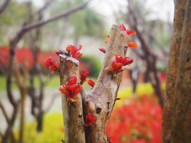 浙江温州：好雨知时节