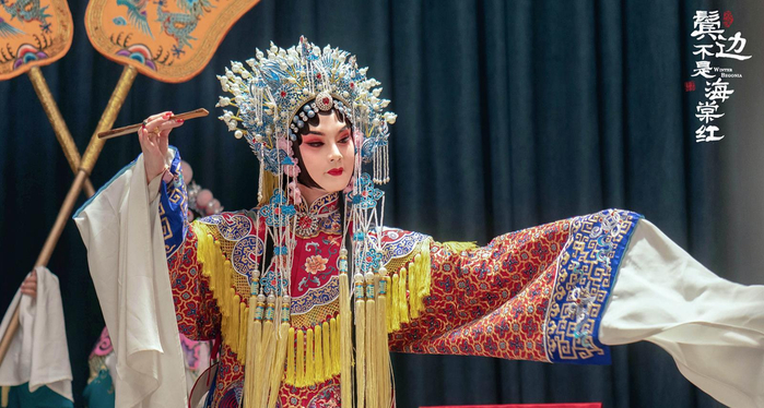 《鬓边不是海棠红》中的商细蕊