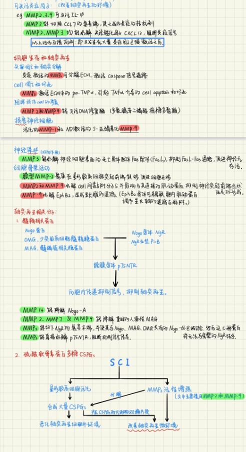 “云课堂”做笔记有何妙招？沪47所高校大学生的笔记大放送