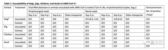 Nature报道新冠病毒新研究：传猫易，传狗难，猫狗能否传人不明确