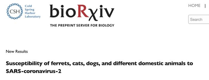 Nature报道新冠病毒新研究：传猫易，传狗难，猫狗能否传人不明确