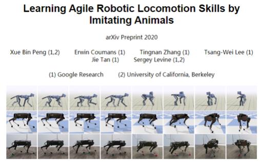 “国产莱卡狗”走进谷歌AI Lab， 强化学习算法让机器狗漫步溜达似真狗