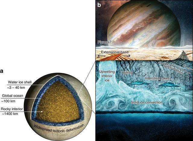 南极冰下800米：科学家发现“外星世界”，颠覆对外星生命的认知