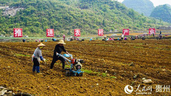 安顺坝区：产业调整辟“新径”百姓增收有“门路”