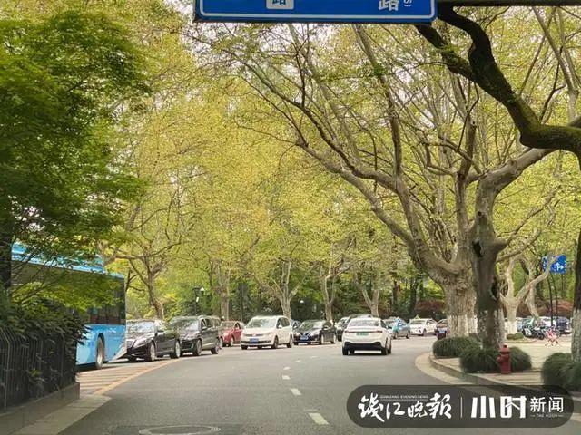 就一个字：堵！虎跑路、 北山街，这两天能避就避开哦