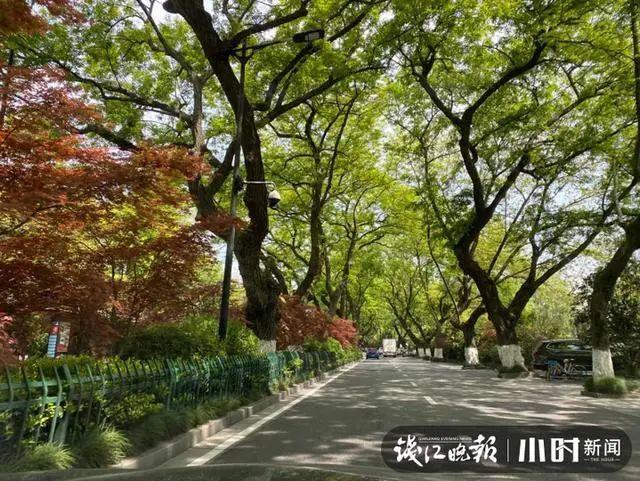 就一个字：堵！虎跑路、 北山街，这两天能避就避开哦