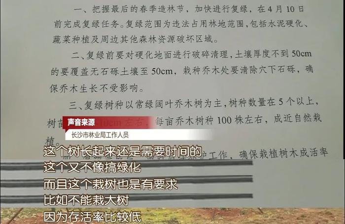 岳麓山旁有人挖山私建机场？当事人悔不当初：挖山毁林只花了几万，复绿已投入15万…