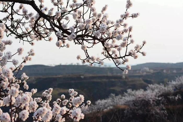 太阳出来啦！除了四川这112家免票景区，还有这些地方可打卡