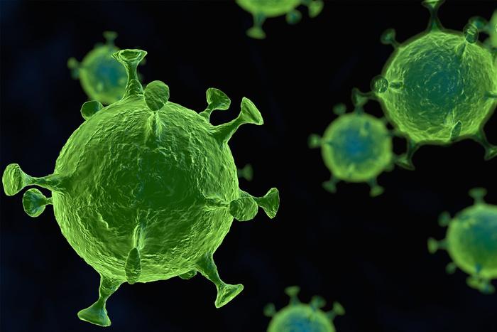 澳洲科学家称伊维菌素可在48小时之内杀死冠状病毒