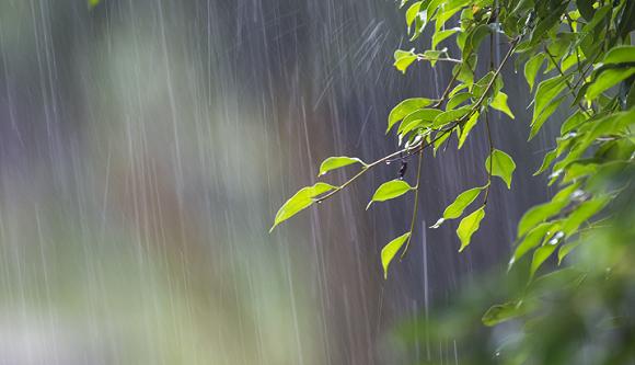 弱冷空气将影响北方地区，华南等地仍有中到大雨