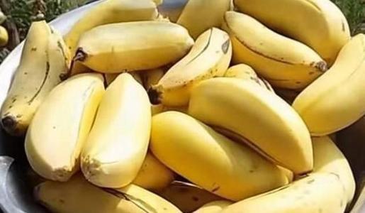 为什么香蕉会变黑？表皮全黑的香蕉还能吃吗？储存香蕉有妙招