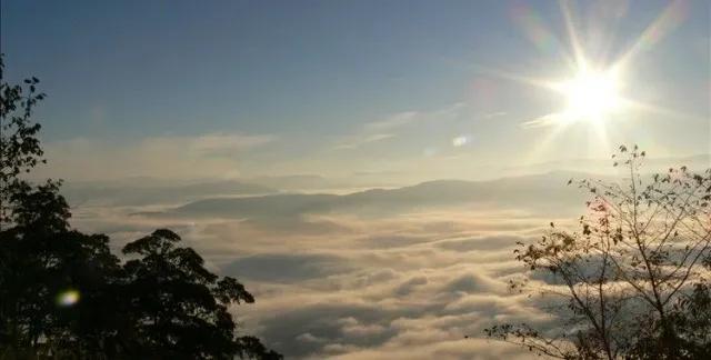 春花盛开，唯有牡丹真国色：去狮子山踏春邂逅人间第一香