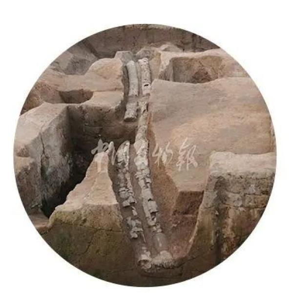 石峁遗址、“南海I号”等20个项目入围全国十大考古发现