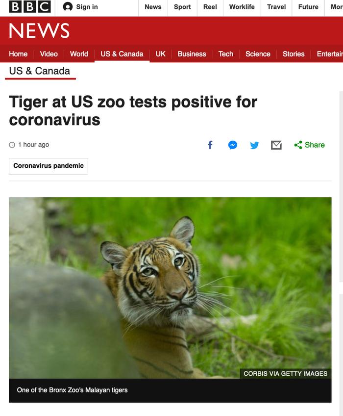 纽约动物园一只老虎“中招”新冠病毒！境外疫情最新消息来了