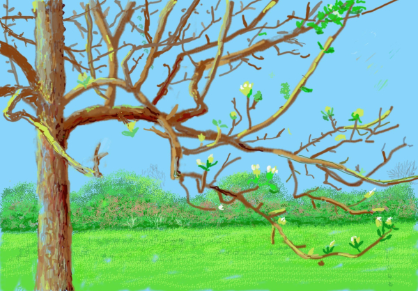 霍克尼2020年春天在“封锁”中的法国