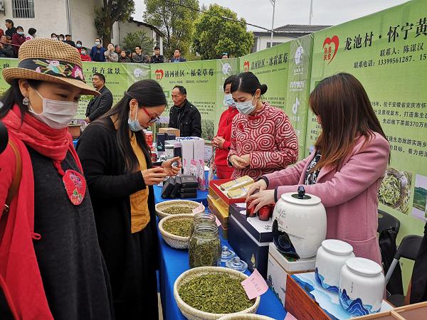 徽味怀宁·龙池香尖春茶采摘直播比赛活动举办