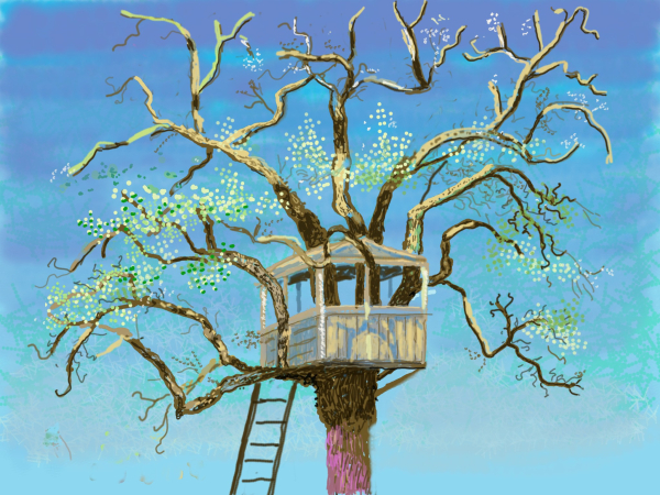 霍克尼2020年春天在“封锁”中的法国